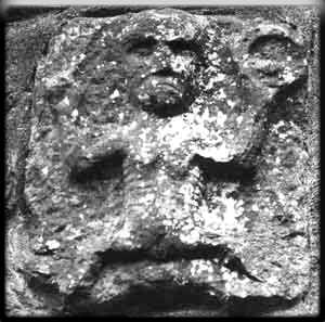 BAH!  The Kiltinan Castle Sheela - Photo courtesy of Joe Kenny and The Fethard Historical Society - Co. Tipperary, Ireland.  {click to go there}