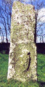 Tara Hill Sheela-na-gig, Co. Meath, Ireland.  photo copyright 2000 Tara McLoughlin. **Click for more information**